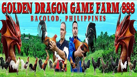 golden dragon gamefarm 888 price list
